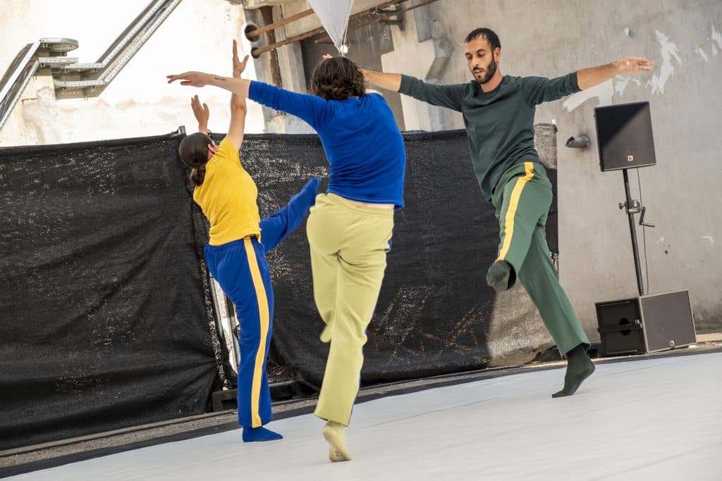 Cie /TranS/ - Birds | ©Frédéric de Faverney | Entre-Pont @ 109 Nice