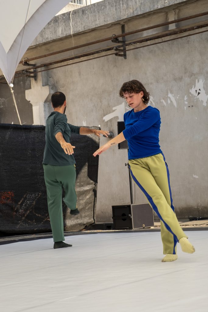 Cie /TranS/ - Birds | ©Frédéric de Faverney | Entre-Pont @ 109 Nice